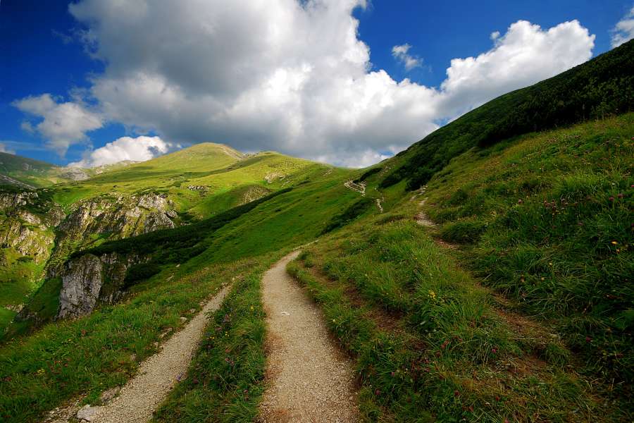 Twardy Upłaz w drodze na Ciemniak