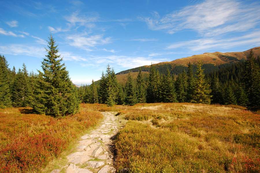 Tatry Polskie, szlak pieszy