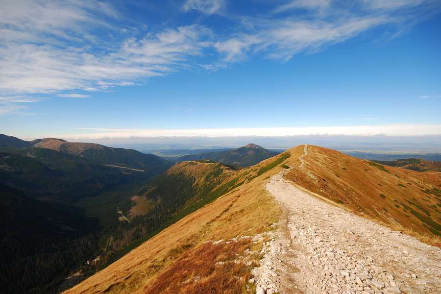 widok z Wołowca, widok na Rakoń, w oddali Osobista, Dolina Rohacka