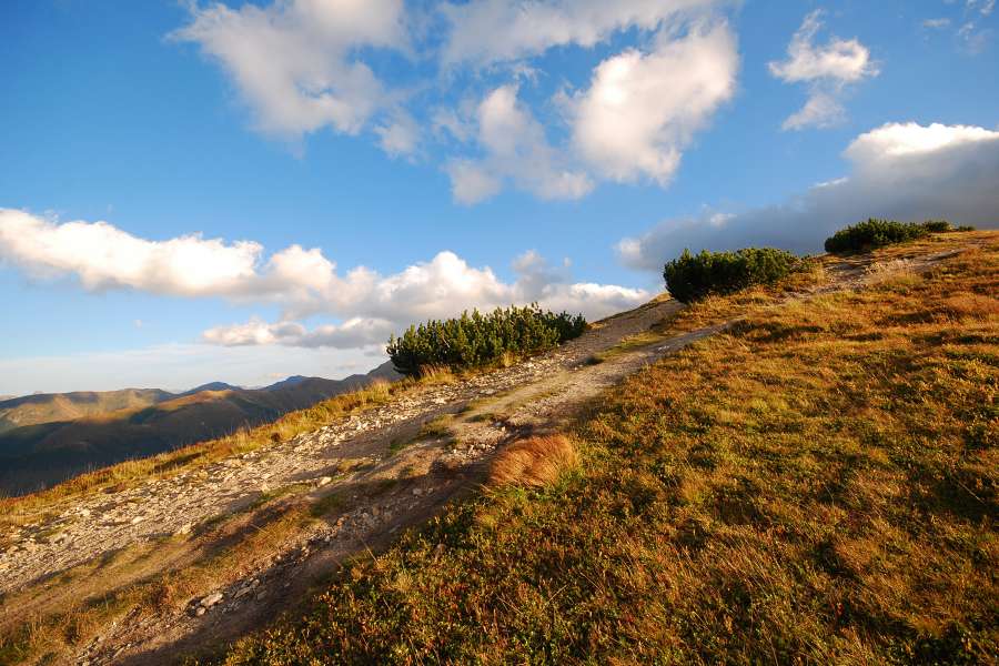 widok ze szlaku pieszego w Tatrach Zachodnich