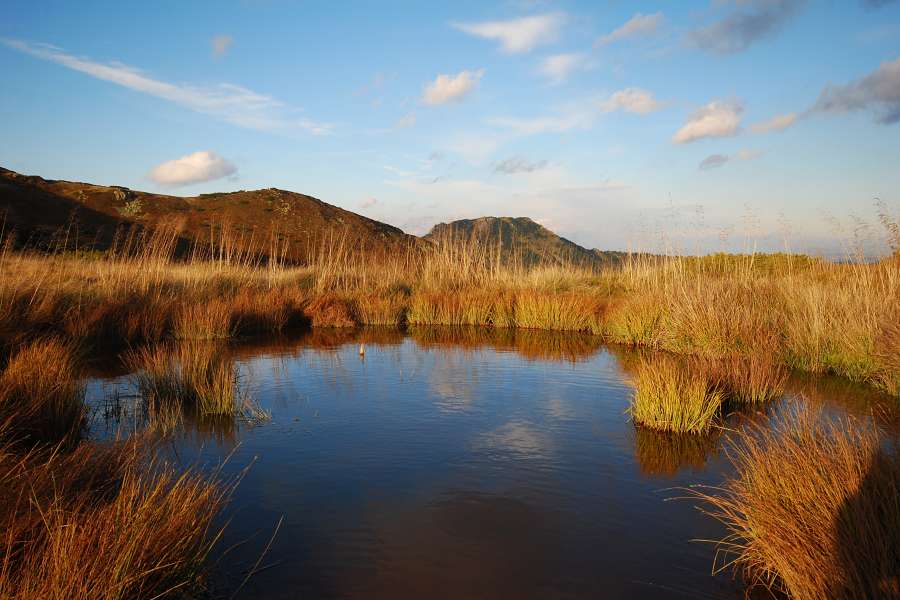 staw w Dolinie Gąsienicowej