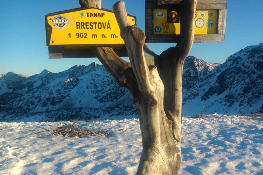 szczyt Brestova w Tatrach Słowackich